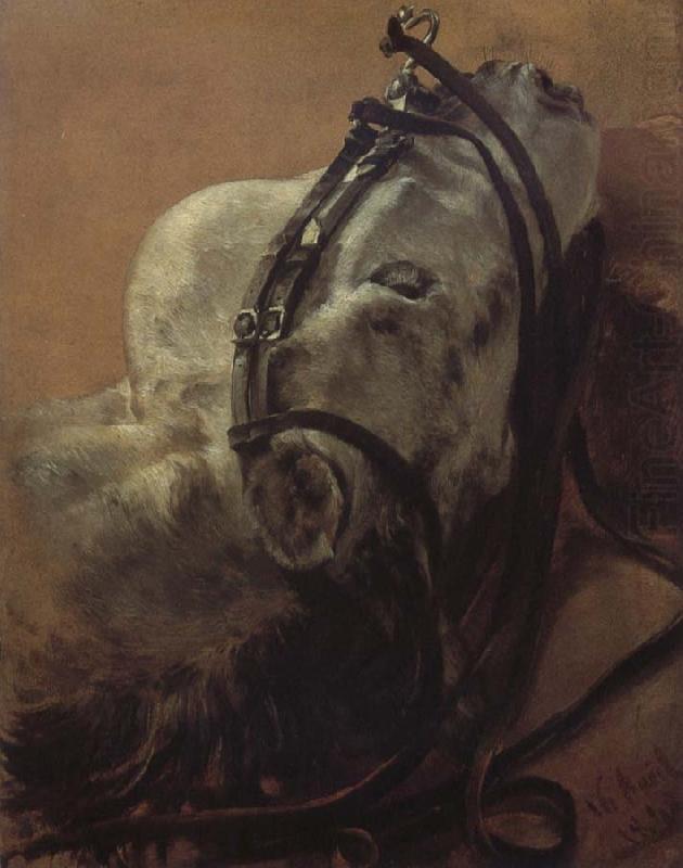 Adolph von Menzel Euine Study,Recumbent Head in Harness china oil painting image